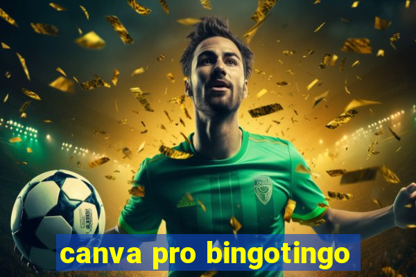 canva pro bingotingo